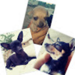 Meet your Posher, Aracely